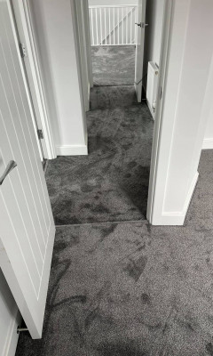 New grey carpet in a house
